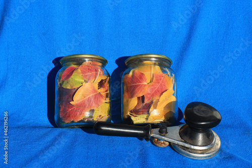 Autumn leaves in jars and a key on a blue background. Conservation. Saving memories.