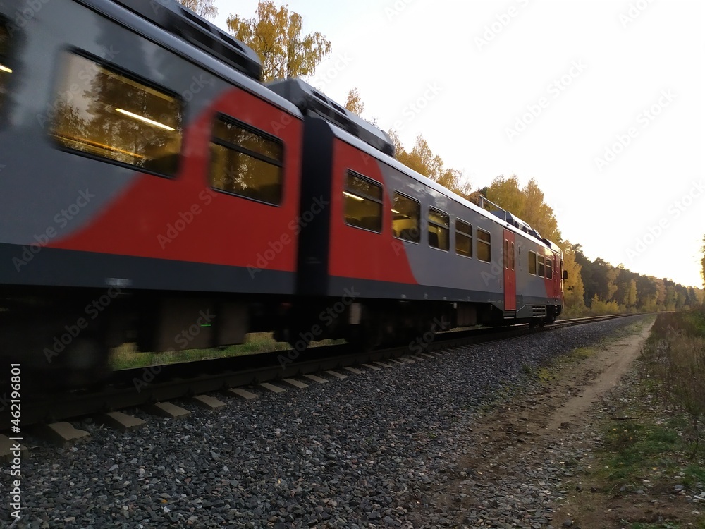 Fototapeta premium train on the railway in autumn forest in sunny evening