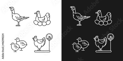 Domestic hens linear icons set for dark and light mode. Female birds. Turkey and chicken. Brood hen. Customizable thin line symbols. Isolated vector outline illustrations. Editable stroke