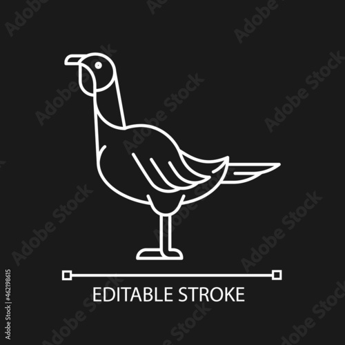 Female turkey linear icon for dark theme. Poultry farming for food. Thanksgiving dinner. Landfowl. Thin line customizable illustration. Isolated vector contour symbol for night mode. Editable stroke