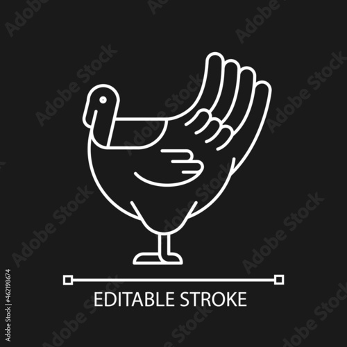 Male turkey linear icon for dark theme. Commercial poultry farming for food. Thanksgiving dinner. Thin line customizable illustration. Isolated vector contour symbol for night mode. Editable stroke