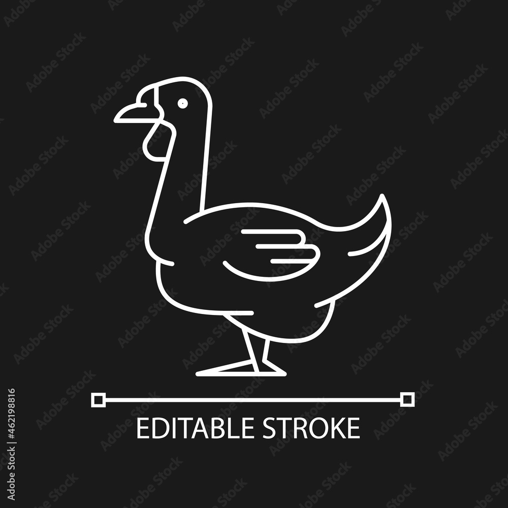 African goose linear icon for dark theme. Waterfowl. Domestic geese. Raising goslings. Brown goose. Thin line customizable illustration. Isolated vector contour symbol for night mode. Editable stroke African goose linear icon for dark theme. Waterfowl. Domestic geese. Raising goslings. Brown goose. Thin line customizable illustration. Isolated vector contour symbol for night mode. Editable stroke