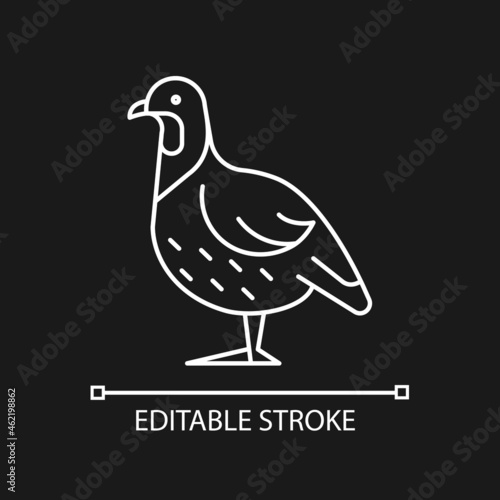 Partridge linear icon for dark theme. Small domestic fowl. Grey landfowl breed. Livestock husbandry. Thin line customizable illustration. Isolated vector contour symbol for night mode. Editable stroke
