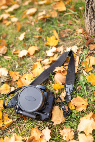 a reflex camera lies under a tree on a lawn in autumn leaves