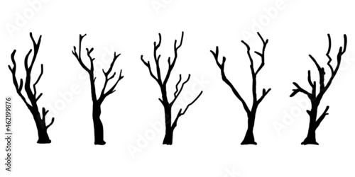 Black Branch Tree or Naked trees silhouettes set. Hand drawn isolated illustrations.