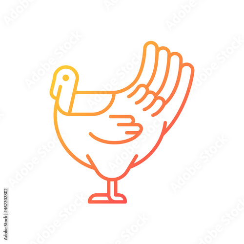 Male turkey gradient linear vector icon. Commercial poultry farming for food. Thanksgiving dinner with turkey. Thin line color symbol. Modern style pictogram. Vector isolated outline drawing
