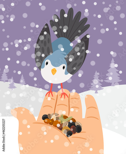 Winter birds feeding. Hand bird feed vector illustration, grains feeds food on palm winters animals help, wildlife helping vector illustration