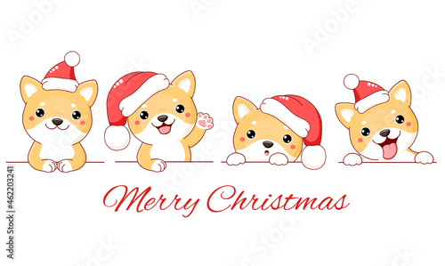 Christmas set of cute shiba inu dog. Borders with kawaii shiba inu puppy in Santa hats. Xmas collection of dogs with different emotion - funny, happy, surprised, sticking out tongue. Vector EPS8
