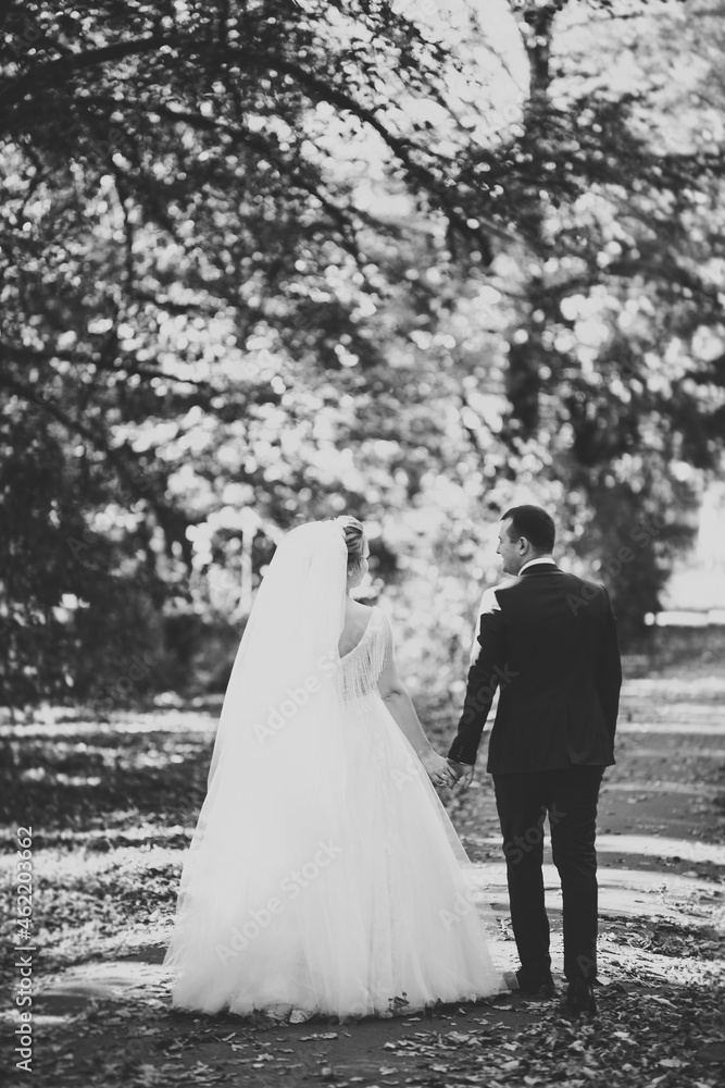 Wedding couple holding hands, groom and bride together on wedding day Wedding couple holding hands, groom and bride together on wedding day