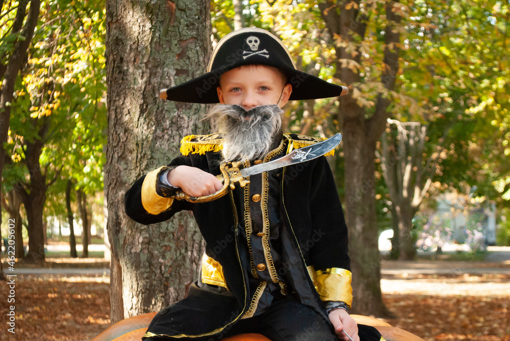 a child in a pirate costume for Halloween with a sword depicts sweets or life