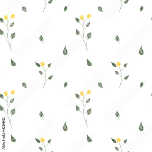 Seamless white background with plants, flowers and leaves