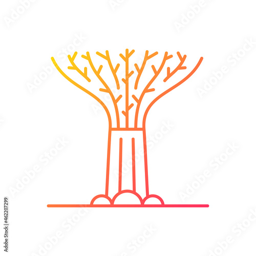 Supertree grove gradient linear vector icon. Tree-like structure. Recognizable Singaporean attraction. Giant tree. Thin line color symbol. Modern style pictogram. Vector isolated outline drawing