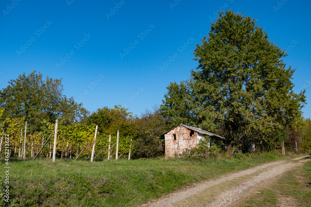 San Colombano e Miradolo Terrme, campagna, natura e scenari rurali San Colombano e Miradolo Terrme, campagna, natura e scenari rurali