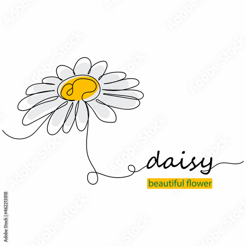 Continuous one line drawing of oxeye daisy in silhouette on a white background. Linear stylized.