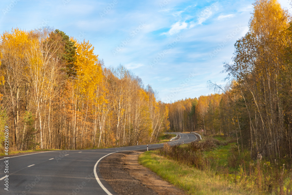 Fototapeta premium road in autumn
