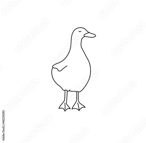 Vectr isolated cute cartoon goose or duck contour line drawing. Drawn goose colorless graphic silhouette doodle drawing