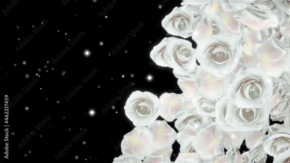 Event Roses White Alpha Channel Looped Video