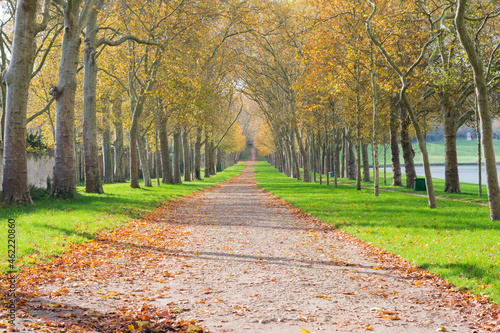 path in autumn park