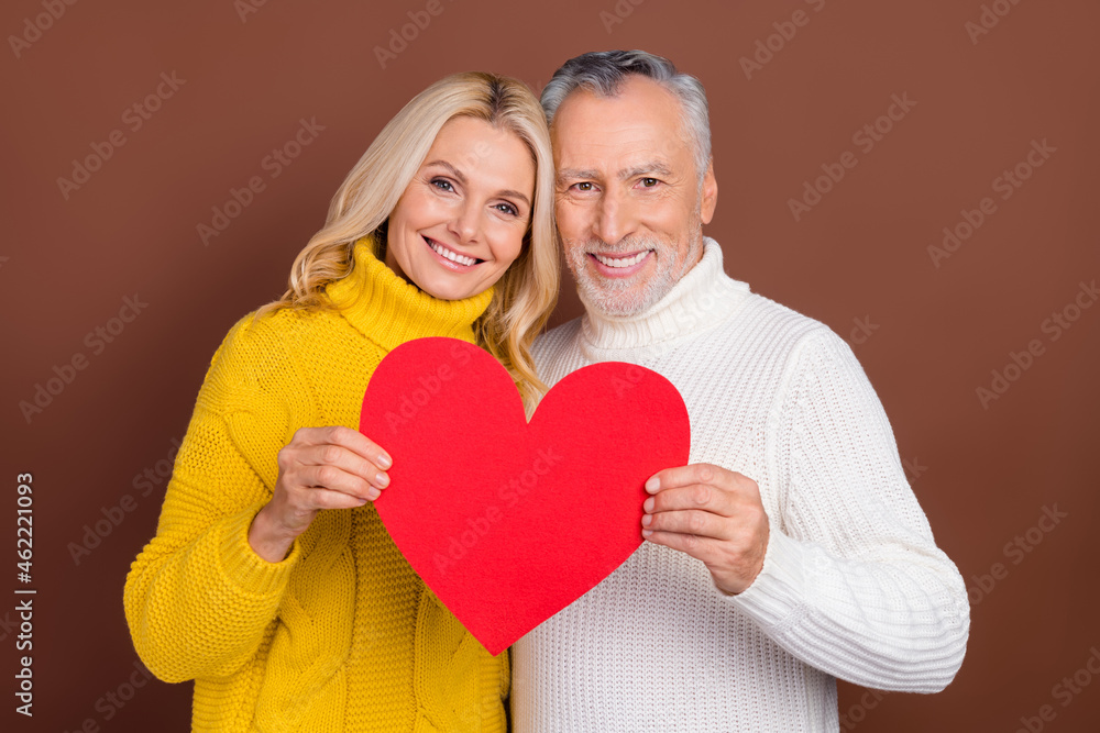 Portrait of two elderly retired cheerful grey-haired people holding heart cuddling bonding isolated over brown color background