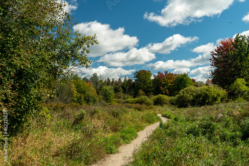 A path leading through a wild field