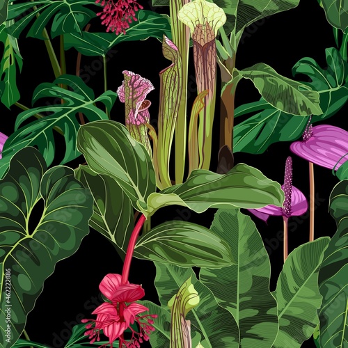 Tropical seamless pattern. Summer print. Jungle rainforest. Sarracenia, genus of carnivorous plants. Monkey cups exotic plant. Seamless floral pattern with exotic flowers and palm leaves on black.