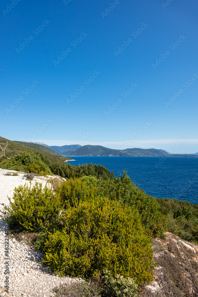Greenery on sunny sea shore on a bright clear blue day in Greece. Sun beam on water and blue sky, Lefkada island, Ionian sea coast. Vertical