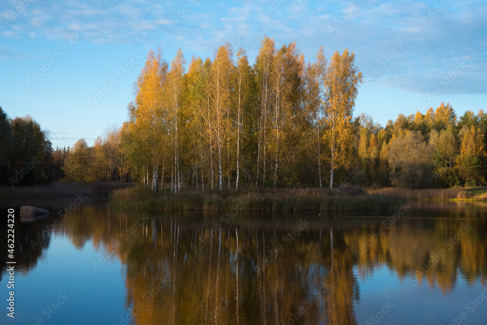 A beautiful lake with blue skies and the reflection water of a birch grove A beautiful lake with blue skies and the reflection water of a birch grove