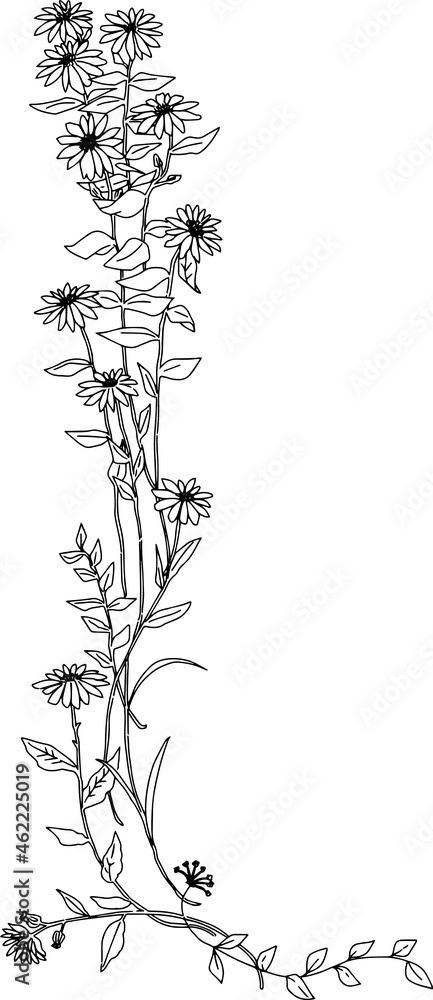 野に咲くお花のナチュラルな線画イラスト 野に咲くお花のナチュラルな線画イラスト