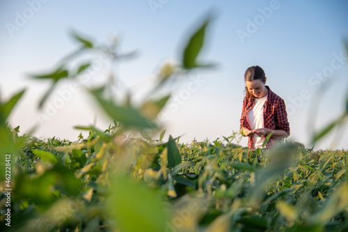 A female farmer in soybean field