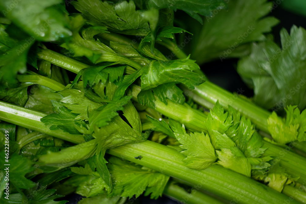 Celery is a marshland plant that comes from the same family as carrots and parsley. It has long, firm, pale green fibrous stalks and grows in bunches. Celery is a marshland plant that comes from the same family as carrots and parsley. It has long, firm, pale green fibrous stalks and grows in bunches.