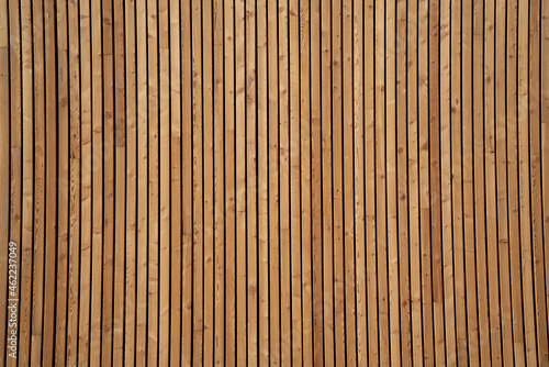 Texture legno photo