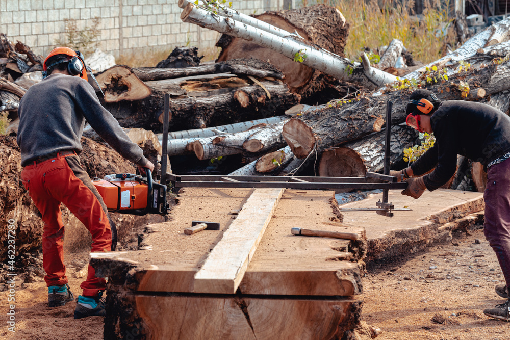 Lumberjack cutting tree trunk with giant chainsaw to make wooden planks Lumberjack cutting tree trunk with giant chainsaw to make wooden planks