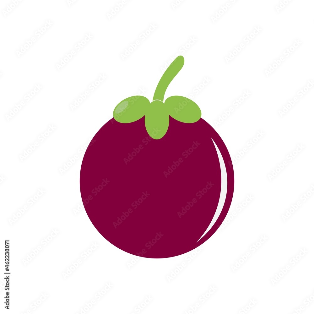 Mangosteen fruit icon logo vector Mangosteen fruit icon logo vector