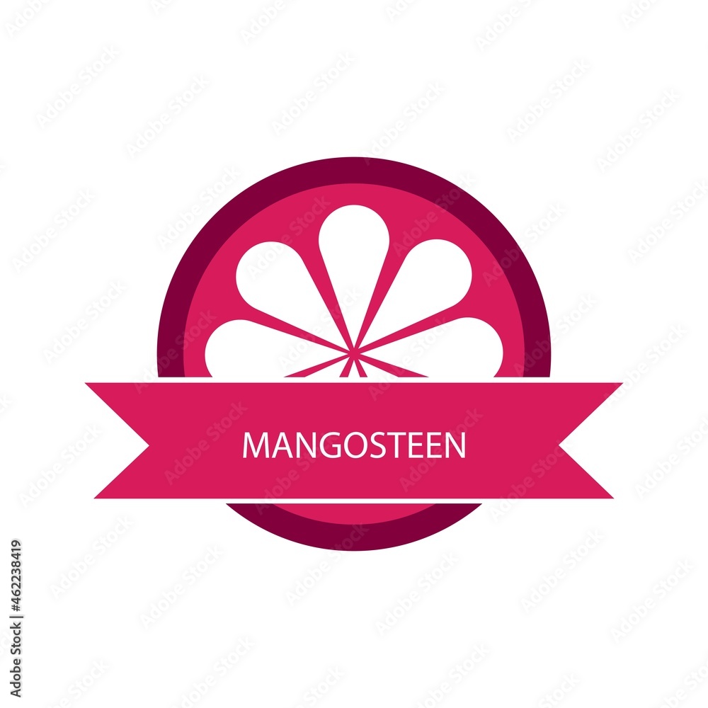 Mangosteen fruit icon logo vector