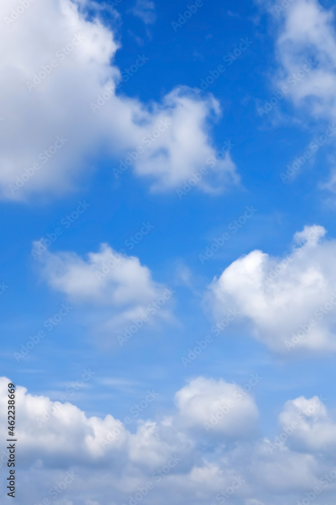 Fototapeta premium 青空