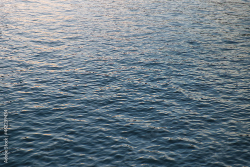 Calm ripple on water surface. River, lake, pond, sea pure blue water. Warm evening light on the water surface.