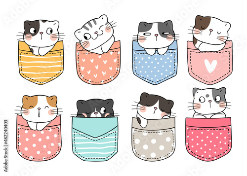Draw collection cute cats in pocket Doodle cartoon style