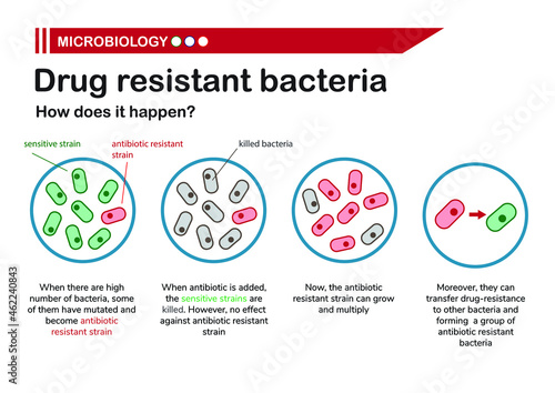 Microbiology shows diagram of drug resistant bacteria 