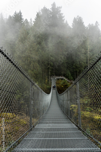 suspension bridge over the river