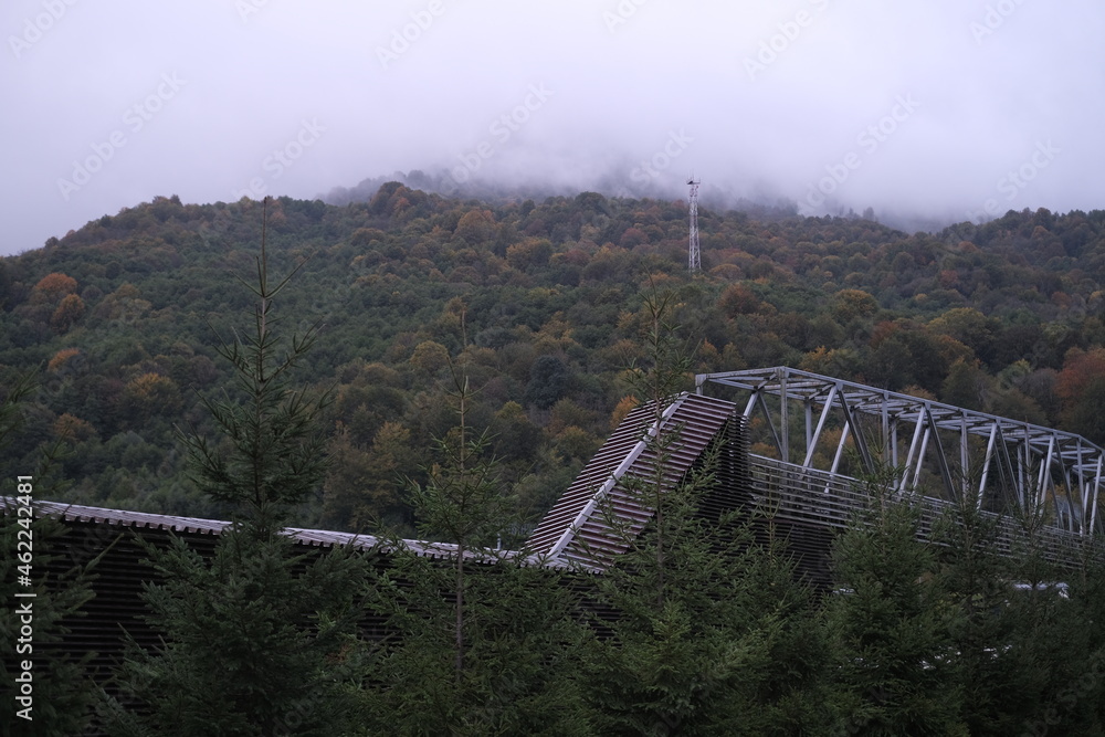 Fototapeta premium bridge in the fog