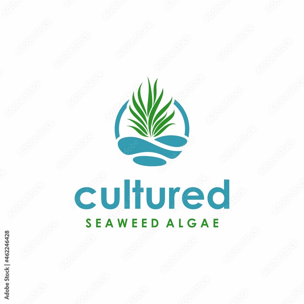 Cultured Seaweed Algae Symbol Logo Design Cultured Seaweed Algae Symbol Logo Design
