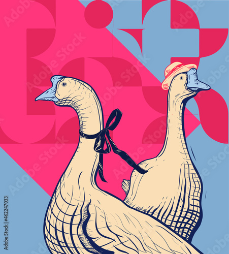 Couple of Geese in elegant attire