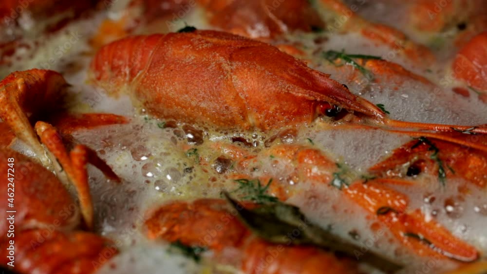 crayfish boil in boiling water, close-up, selective focus crayfish boil in boiling water, close-up, selective focus