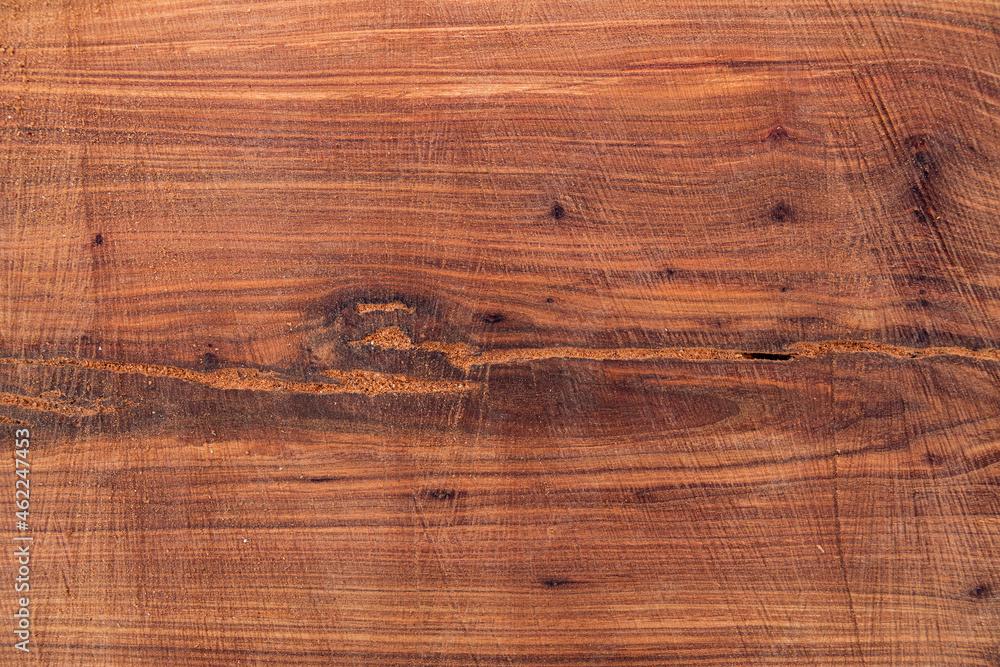 Naklejka premium Tree plank texture for background. Cut tree trunk texture. Wood texture