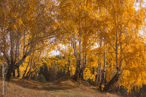 Autumn in the Ural forest.