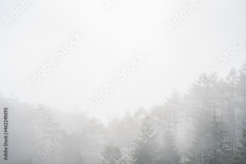 秋の霧の朝