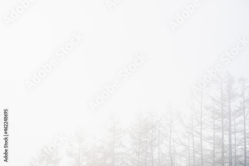 秋の霧の朝 © kikisora