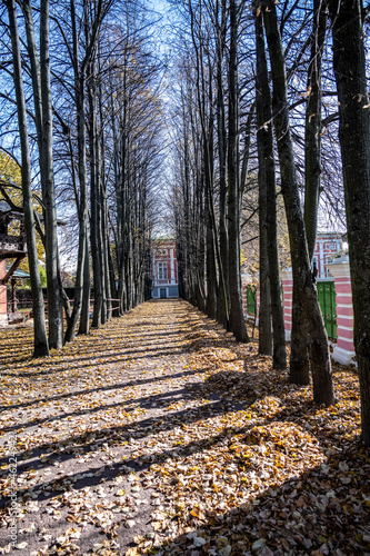 the old museum and park complex Kuskovo in Moscow at the beginning of autumn on a bright sunny day 