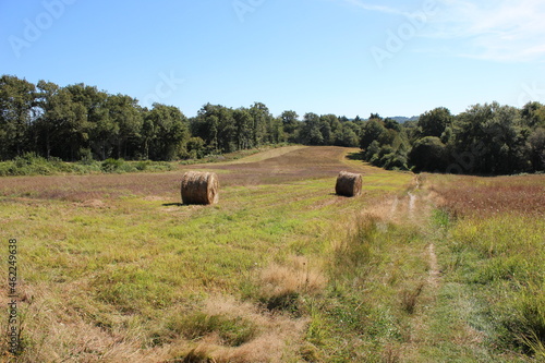 Two round bales of hay in a French meadow on a hill surrounded with forest edge.