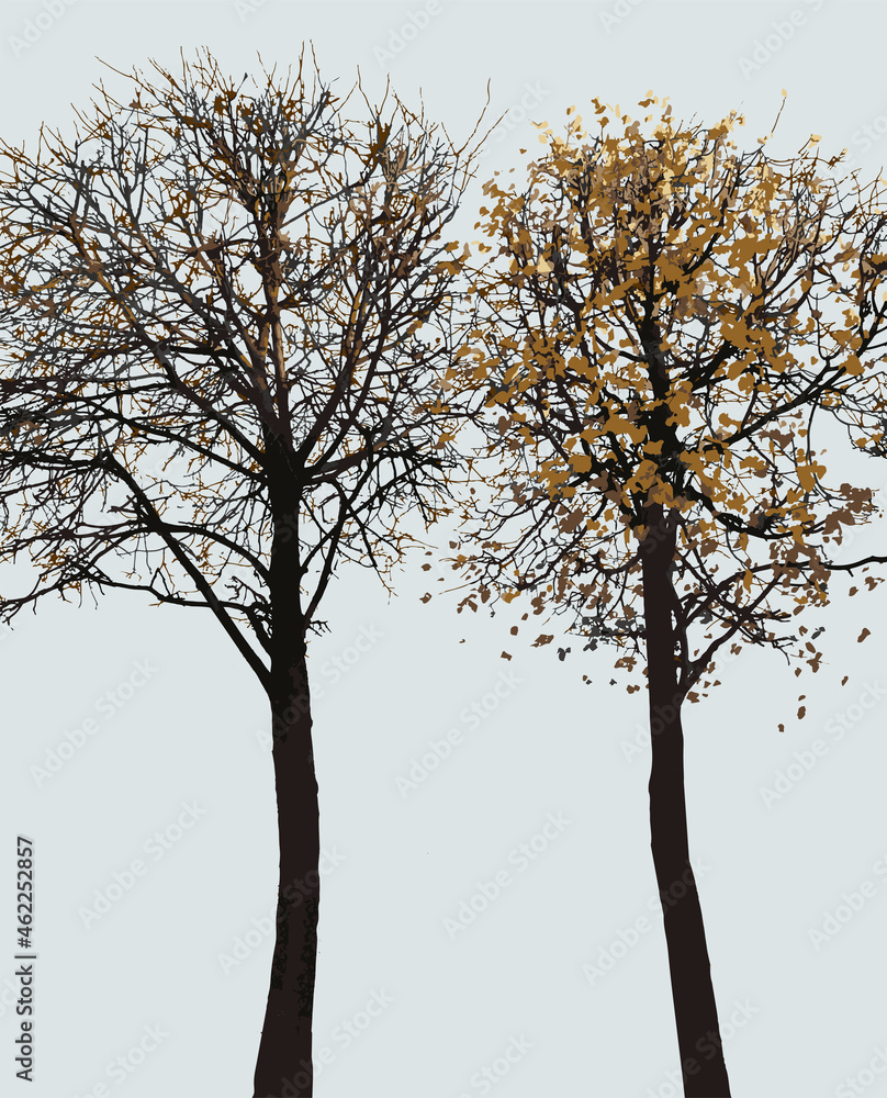Vector image of silhouettes two deciduous trees with falling leaves in autumn season Vector image of silhouettes two deciduous trees with falling leaves in autumn season